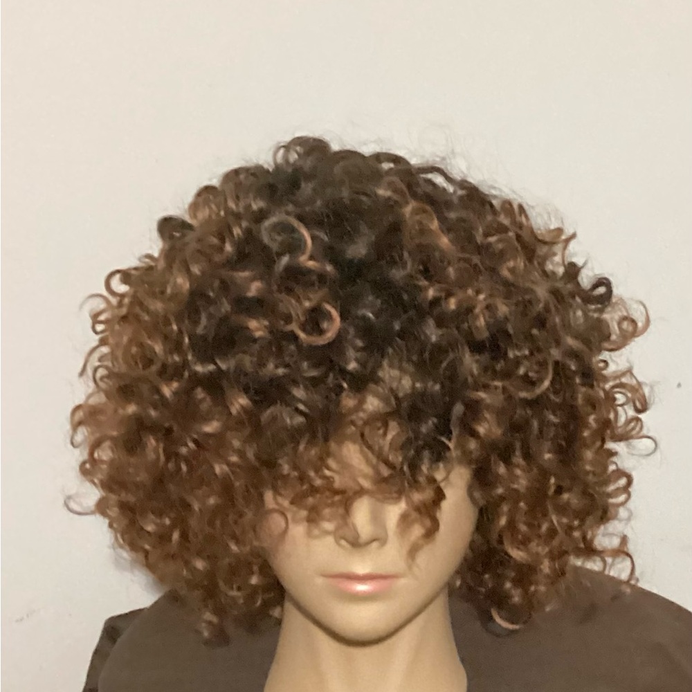 Voluminous Curly Wig in Rich Brown